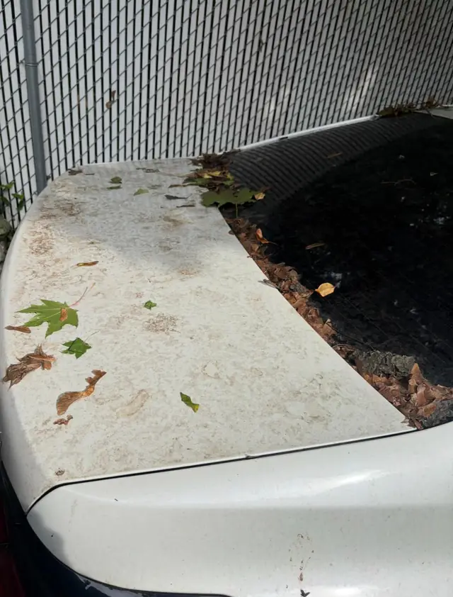 Before: BMW 740i — trunk